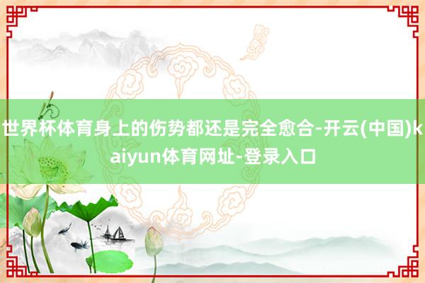 世界杯体育身上的伤势都还是完全愈合-开云(中国)kaiyun体育网址-登录入口