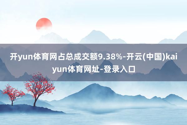 开yun体育网占总成交额9.38%-开云(中国)kaiyun体育网址-登录入口