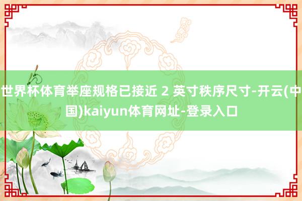 世界杯体育举座规格已接近 2 英寸秩序尺寸-开云(中国)kaiyun体育网址-登录入口