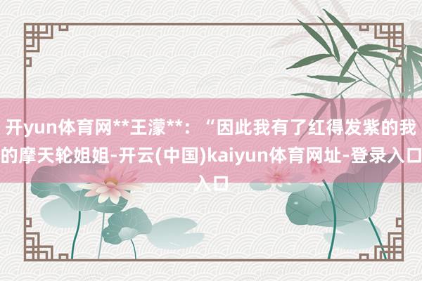 开yun体育网**王濛**：“因此我有了红得发紫的我的摩天轮姐姐-开云(中国)kaiyun体育网址-登录入口