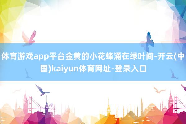 体育游戏app平台金黄的小花蜂涌在绿叶间-开云(中国)kaiyun体育网址-登录入口
