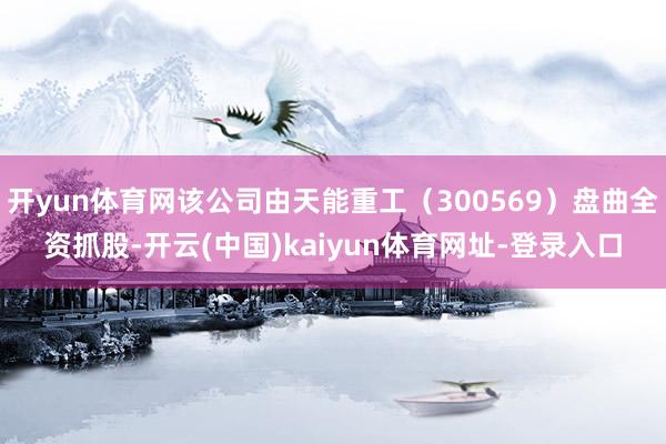 开yun体育网该公司由天能重工（300569）盘曲全资抓股-开云(中国)kaiyun体育网址-登录入口